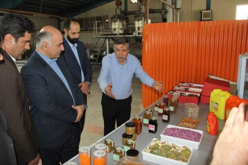 تلاش برای توسعه گردشگری در حوزه خوراک در بروجرد