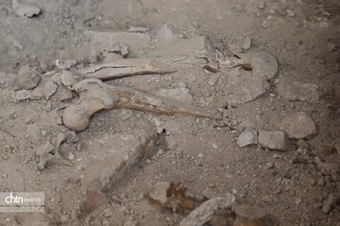 کشف قسمتهایی از گورستان سلطنتی ایلخانی در  گنبد سلطانیه