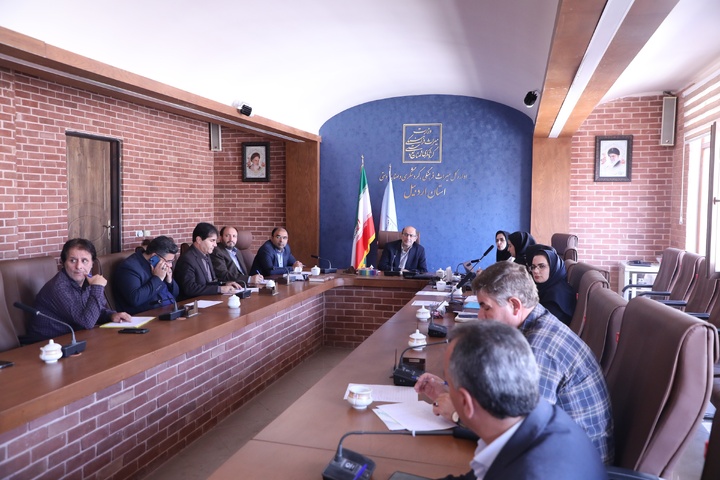 بررسی ۱۳ پرونده در ششمین جلسه کمیته فنی سرمایه‌گذاری گردشگری استان اردبیل