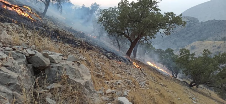 مهار آتش‌سوزی در مراتع و جنگل‌های گچساران