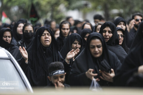 پیاده‌روی جاماندگان اربعینی حسینی در اردبیل