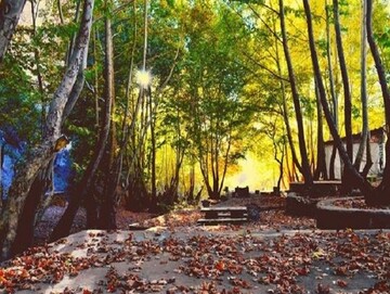 تنگ گنجه‌ای یاسوج، چشم انداز بی نظیری از شاهکار طبیعت