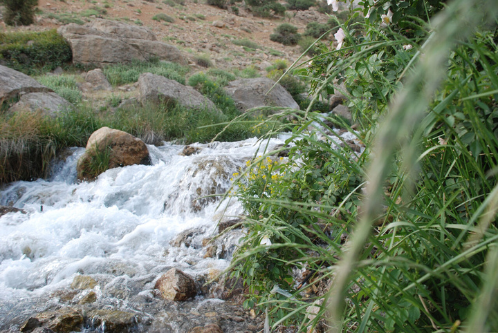 چشمه میشی، نگینی در آغوش دنا