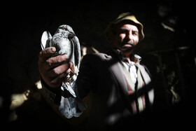 روستای پلکانی اسفیدان، نگین سبز خراسان شمالی