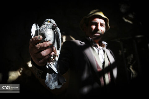 روستای پلکانی اسفیدان، نگین سبز خراسان شمالی