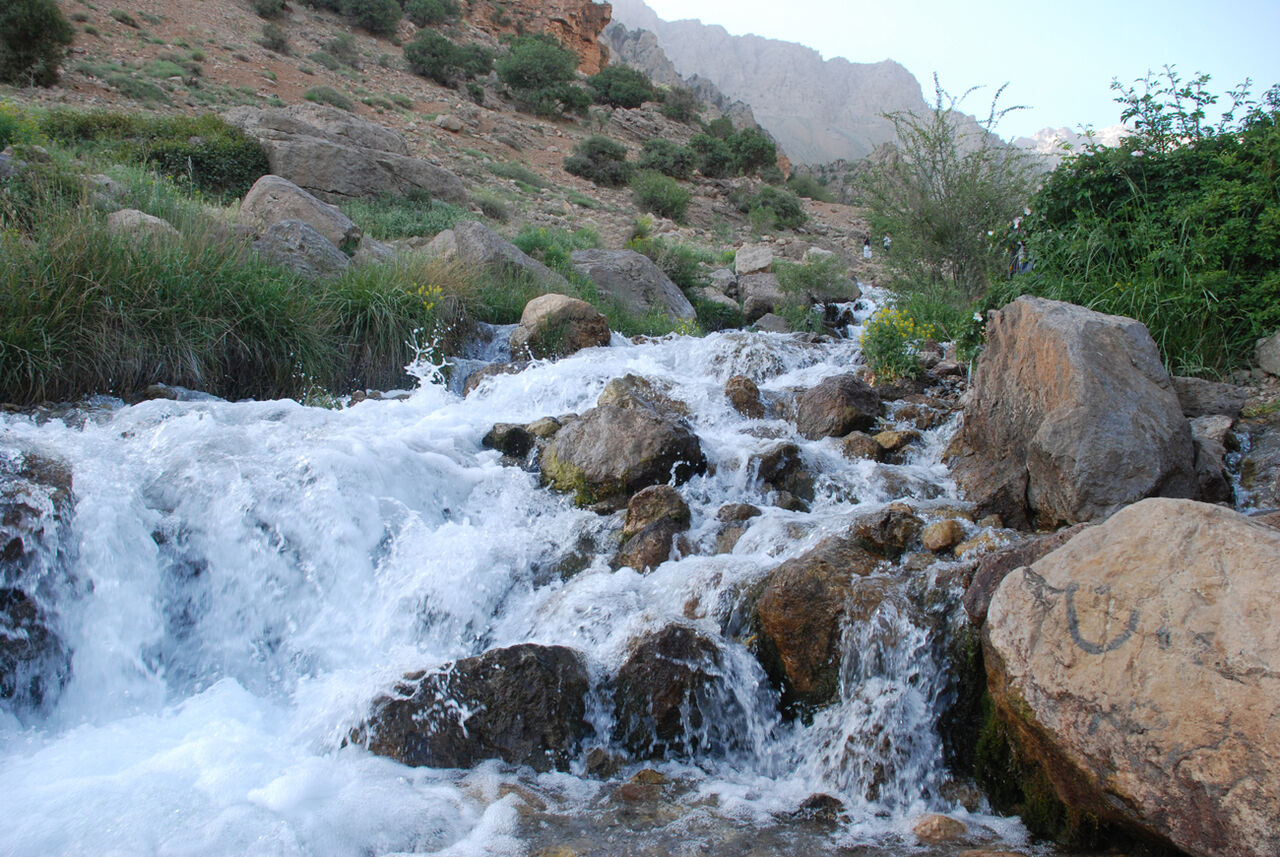 چشمه میشی سی سخت
