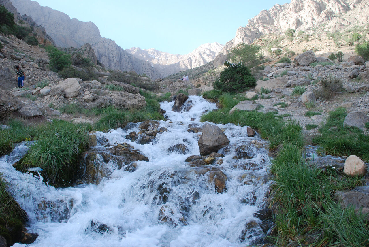 چشمه میشی سی سخت