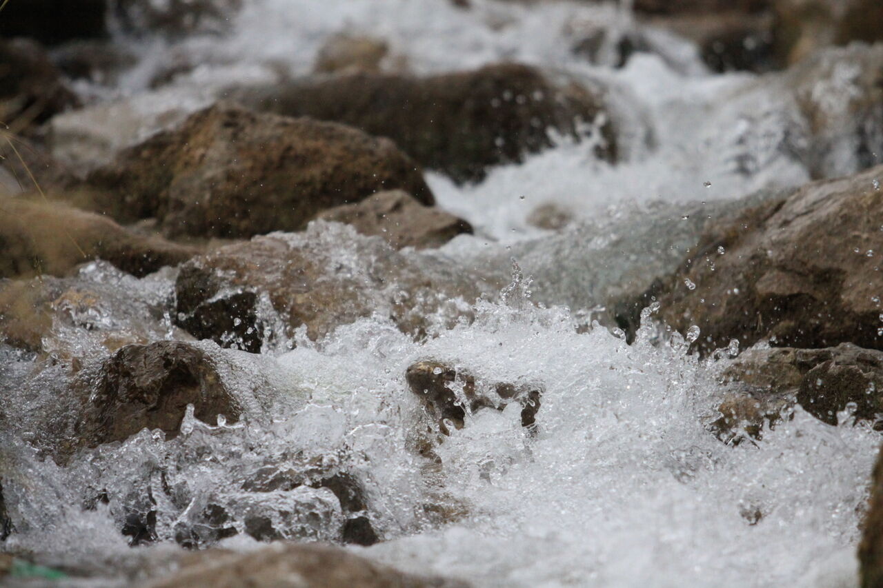 چشمه میشی سی سخت