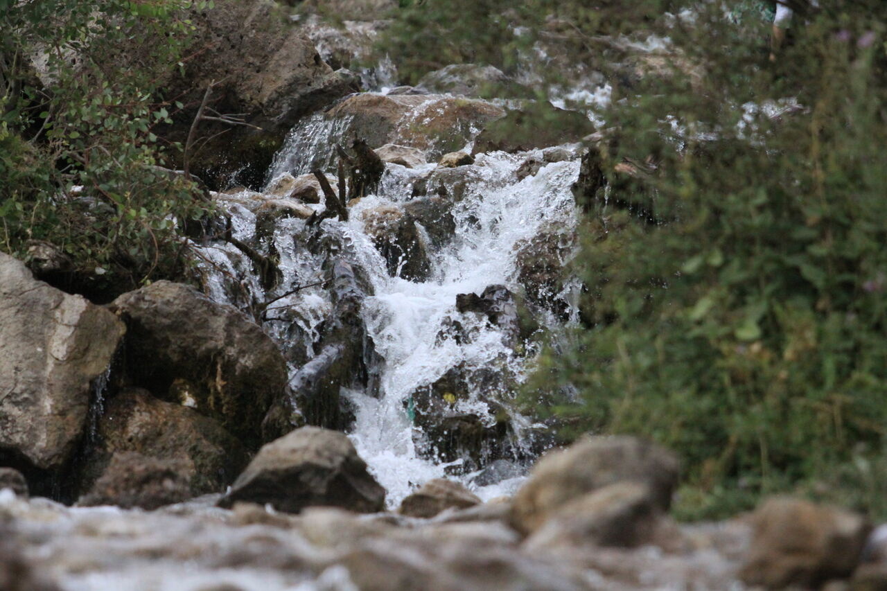 چشمه میشی سی سخت