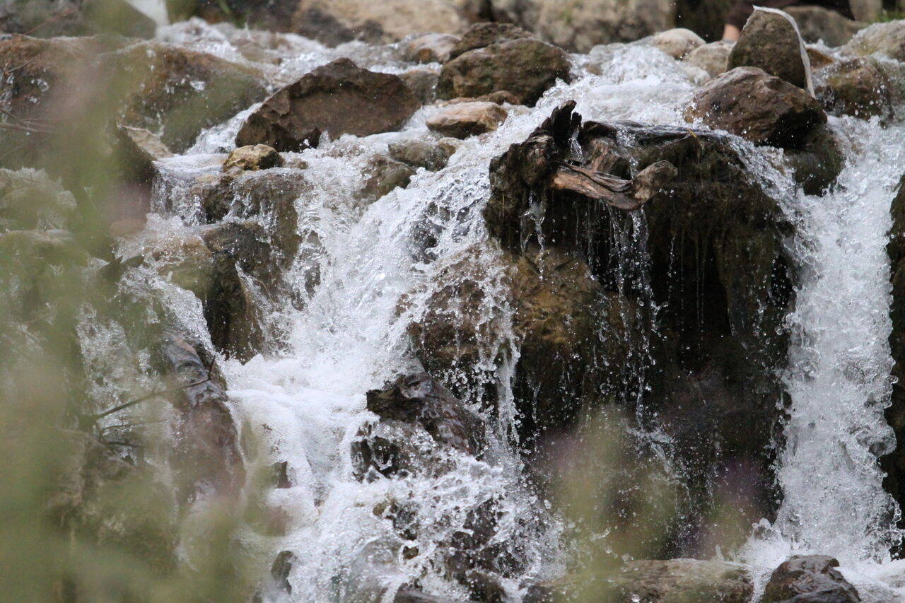چشمه میشی سی سخت