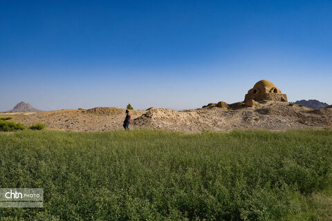 زیارت مرتضی علی