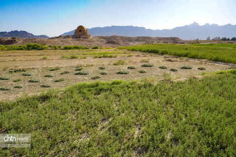 زیارت مرتضی علی