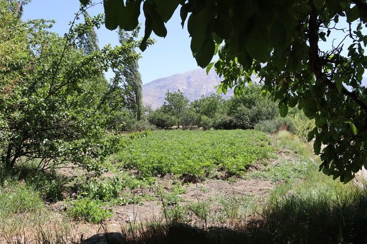 روستای هدف گردشگری چاشم