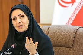 بخش خصوصی تنها راهکار و راه چاره توسعه کشور است