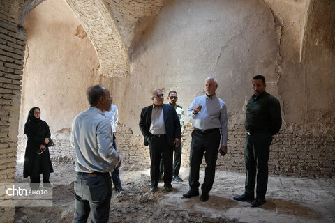دکتر ضرغامی