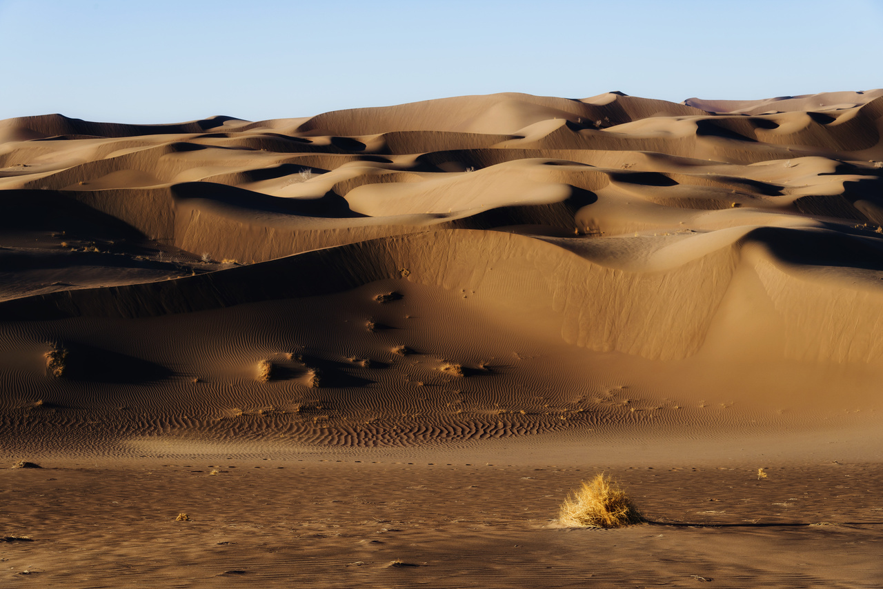 بکرترین مناطق کویری خراسان جنوبی/ از بیابان لوت تا کویر خور