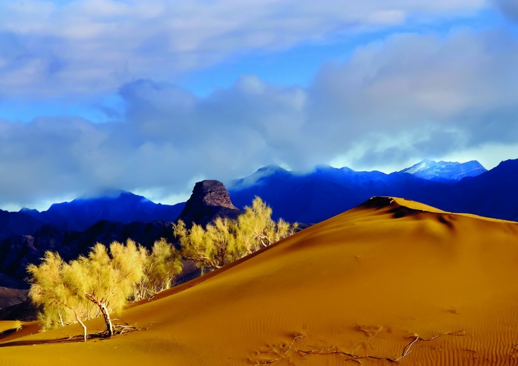 بکرترین مناطق کویری خراسان جنوبی/ از بیابان لوت تا کویر خور