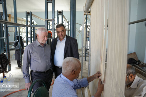 احیای شرکت فرش کرمان، باز زنده‌سازی هویت تاریخی و فرهنگی این سرزمین است