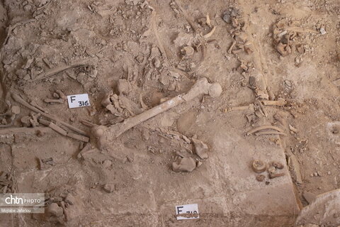 کاوش در گنبد سلطانیه