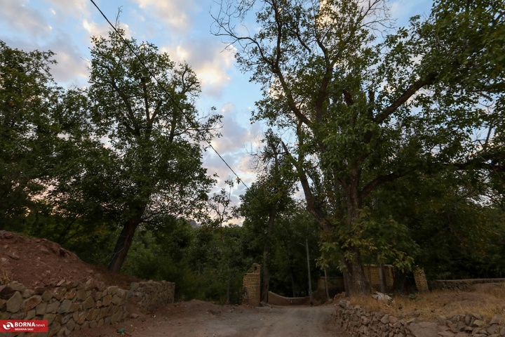 وشتگان