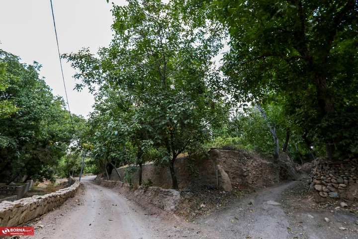 وشتگان