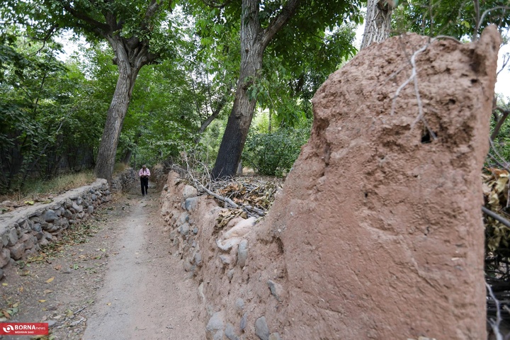 وشتگان