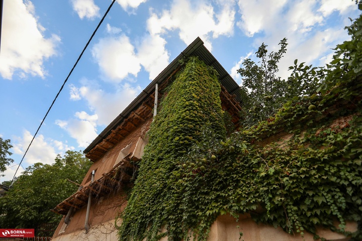 وشتگان
