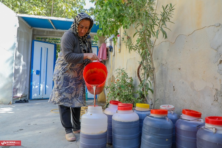 انگور هزاوه