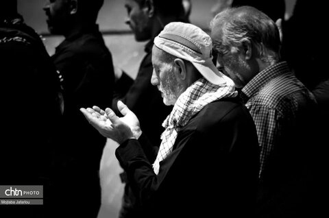 رویداد مهرواره های اربعینی ها