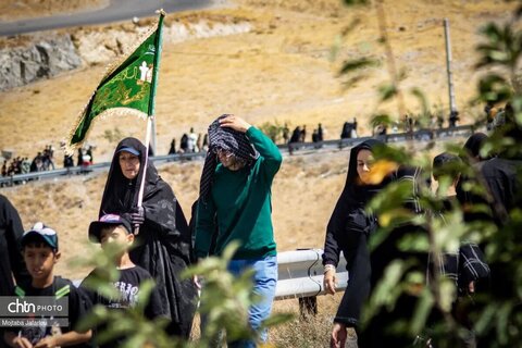 رویداد مهرواره های اربعینی ها