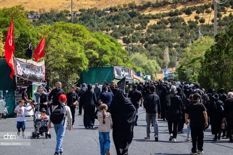 رویداد مهرواره های اربعینی ها