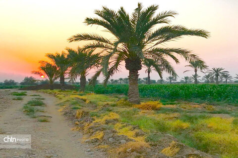 دشتستان، نگین سبز استان بوشهر