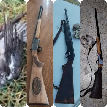 پنج شکارچی غیر مجاز در کهگیلویه و بویراحمد دستگیر شدند