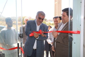 افتتاح یک کارگاه صنایع‌دستی در ایلام