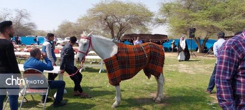 آغاز مرحله اول ایجاد زیرساخت‌های گردشگری روستای گدارچیتی