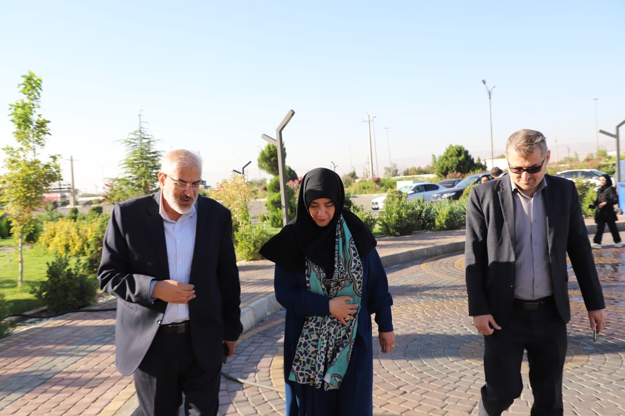 معاون صنایع‌دستی و هنرهای سنتی کشور وارد زنجان شد