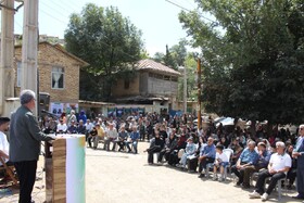 برگزاری چهارمین جشنواره هلی ترشی در مازندران