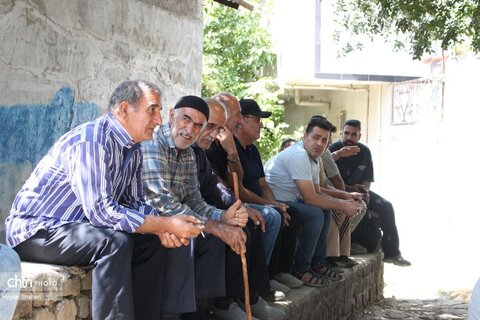 برگزاری چهارمین جشنواره هلی ترشی در مازندران