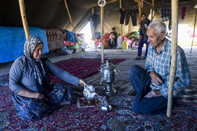 «زندگی در کوچ؛ روایت تصویری از عشایر خراسان شمالی»