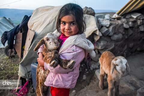 «زندگی در کوچ؛ روایت تصویری از عشایر خراسان شمالی»