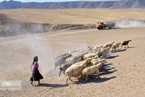 «زندگی در کوچ؛ روایت تصویری از عشایر خراسان شمالی»