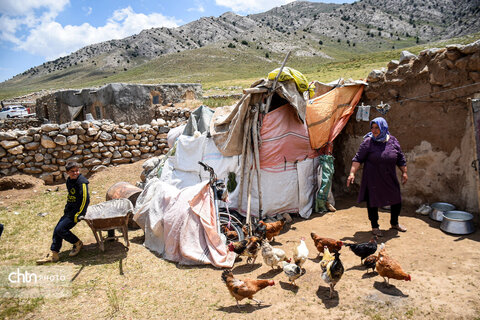 «زندگی در کوچ؛ روایت تصویری از عشایر خراسان شمالی»