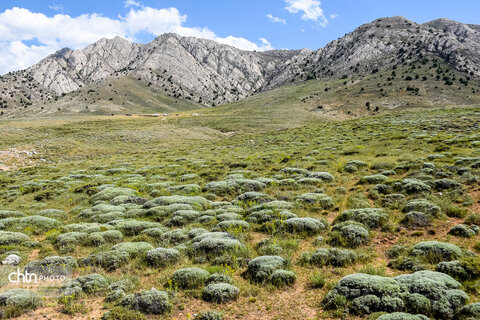 «زندگی در کوچ؛ روایت تصویری از عشایر خراسان شمالی»