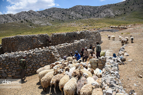 «زندگی در کوچ؛ روایت تصویری از عشایر خراسان شمالی»