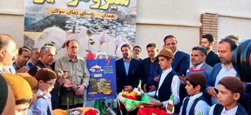 رونمایی از پوستر هفتمین جشنواره سیر و موسیر روستای سلولان توسط استاندار همدان