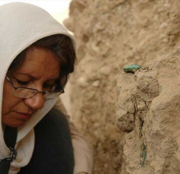 یونسکو حافظ میراث‌ در خطر است/ اجازه اجرای موسیقی به معنای رعایت کامل تدابیر حفاظتی است/ اجرای ارکستر فیلارمونیک ارمنستان در تخت‌جمشید، فرصتی برای معرفی تمدن ایران به جهانیان است