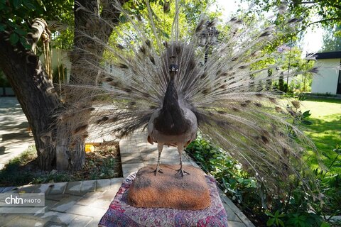 افتتاح اولین مجموعه تفریحی سرگرمی پرنده نگری آذربایجان غربی