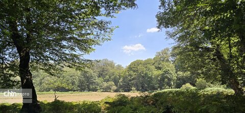 جلوه های گلستان