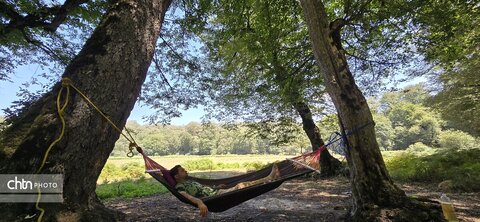 جلوه های گلستان