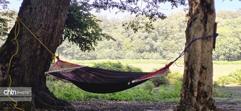 جلوه های گلستان